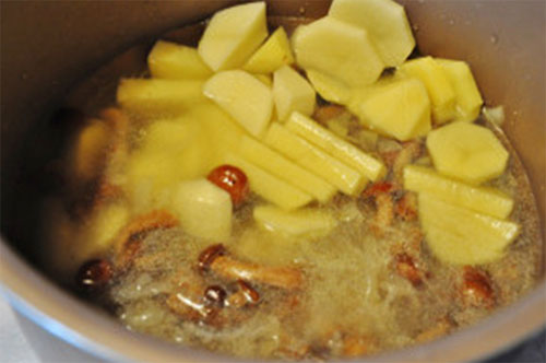 Zet de aardappels Zet de aardappels