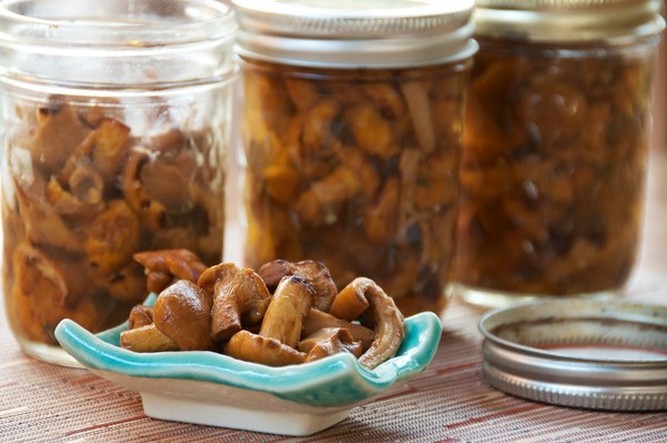 Hoe champignons thuis te maken - recepten voor de winter in banken