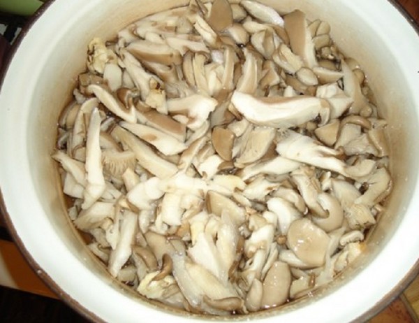 Hoe champignons thuis te maken - recepten voor de winter in banken