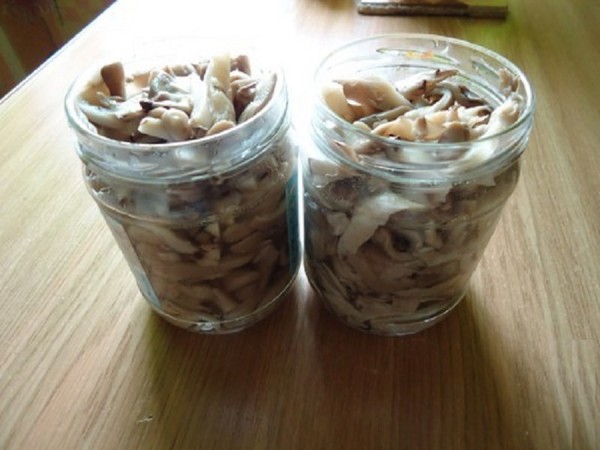 Hoe champignons thuis te maken - recepten voor de winter in banken