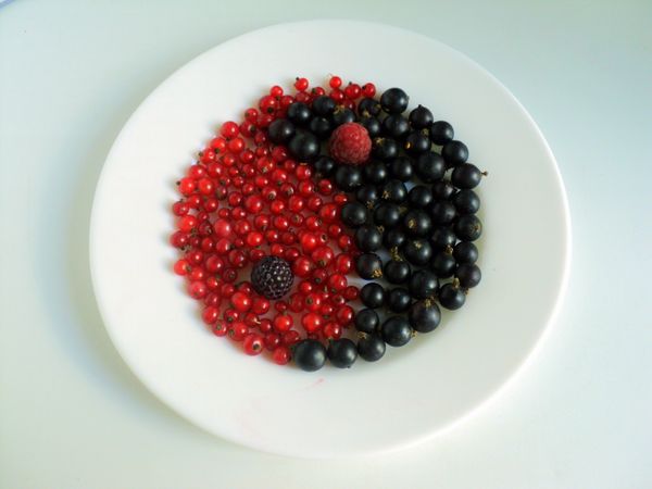 Mooie serveren en serveren van fruit
