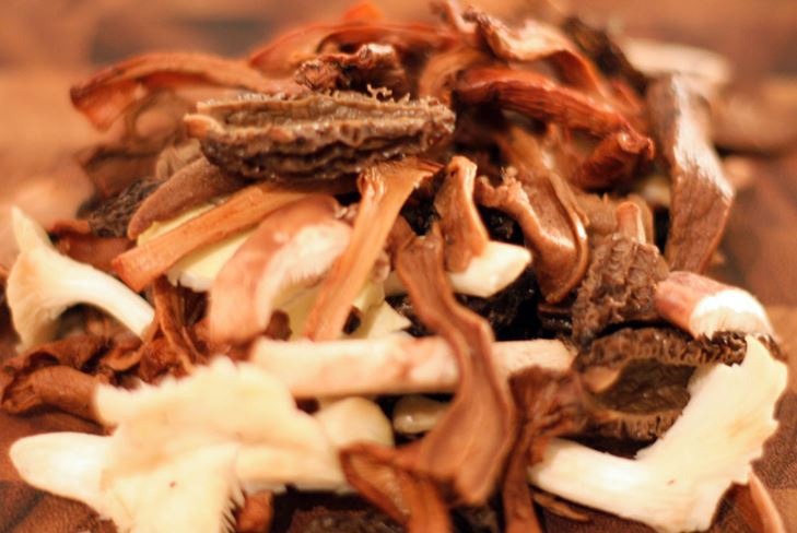 Hoe paddestoelen in het huis te drogen