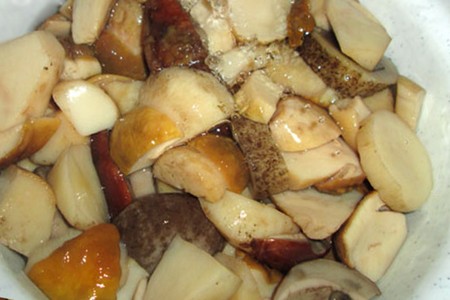 Hoe witte paddestoelen te bevriezen om te bewaren voor een lange tijd