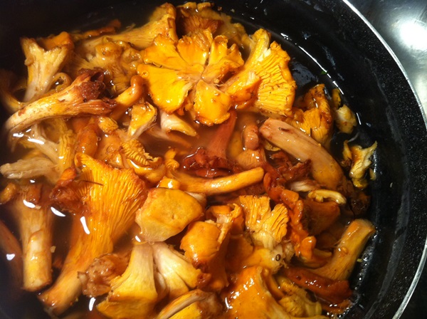 Hoe cantharellen in een koekenpan te koken