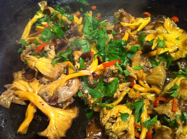 Hoe cantharellen in een koekenpan te koken