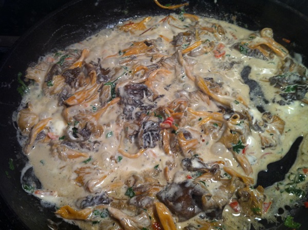 Hoe cantharellen in een koekenpan te koken