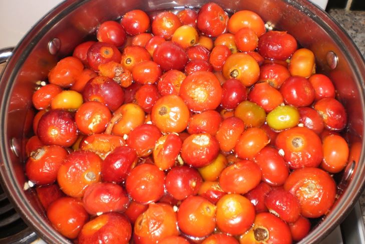 Hoe jam van een dogrose voor de winter te brouwen: het recept voor een snack van vijf minuten