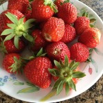 Hoe de lege plekken van aardbeien voor de winter te sluiten - fotorecepten