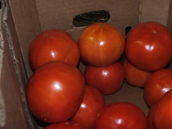 Ketchup door eigen handen van tomaten: stap-voor-stap recepten voor oogsten voor de winter