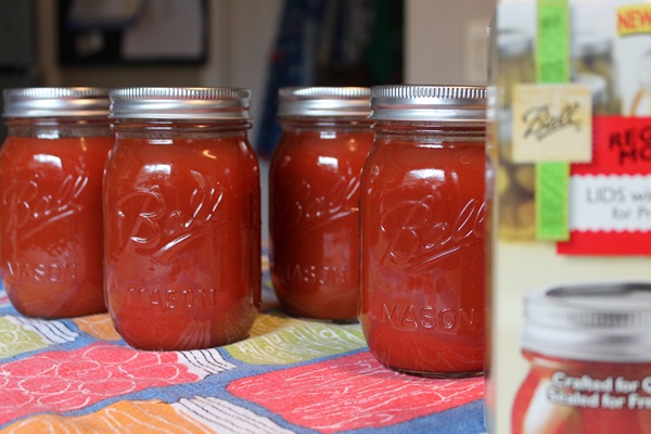 Ketchup door eigen handen van tomaten: stap-voor-stap recepten voor oogsten voor de winter