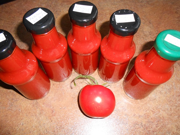 Ketchup door eigen handen van tomaten: stap-voor-stap recepten voor oogsten voor de winter