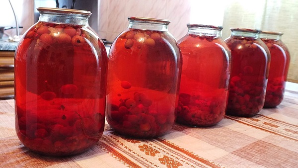 Compote van appelbes