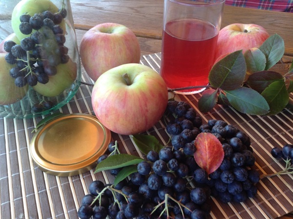 Compote van appelbes