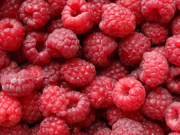 Heerlijke compote van frambozen voor de winter