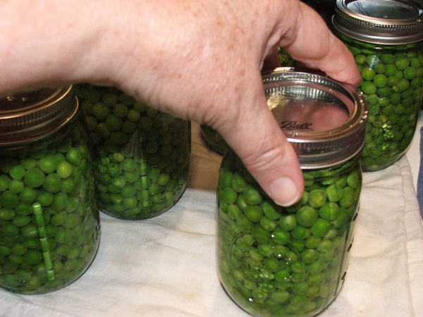 Groene erwten, ingeblikt voor de winter thuis