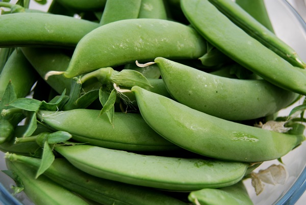 Groene erwten, ingeblikt voor de winter thuis