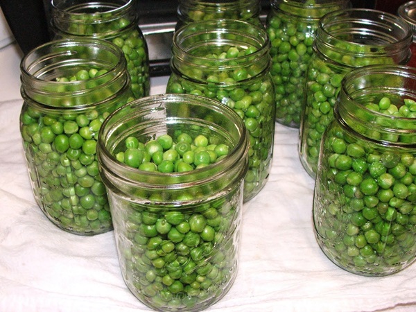 Groene erwten, ingeblikt voor de winter thuis