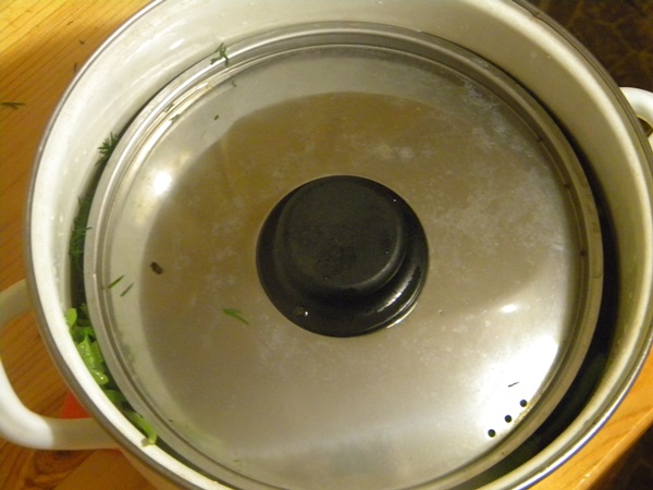 Krokante, lichtgezouten komkommer in een pan
