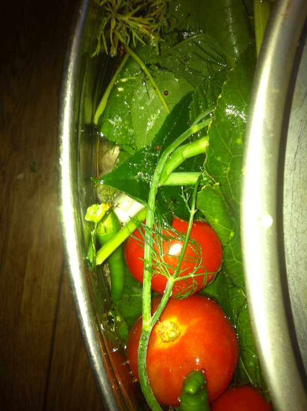 Vers gezouten tomaten in een zak en een pan