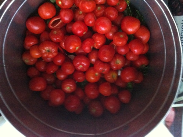 Vers gezouten tomaten in een zak en een pan
