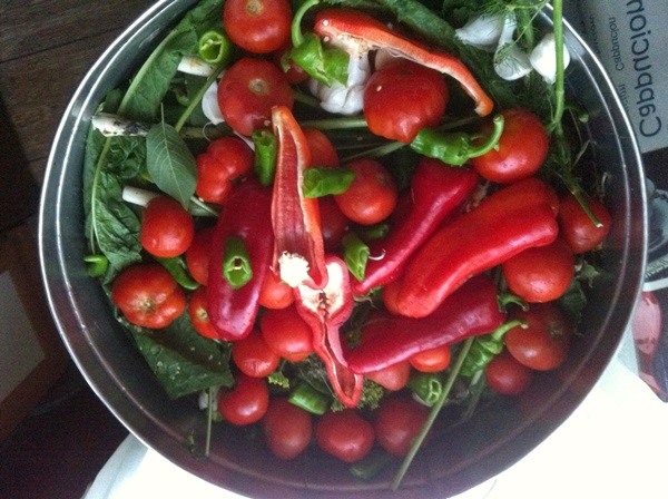 Vers gezouten tomaten in een zak en een pan