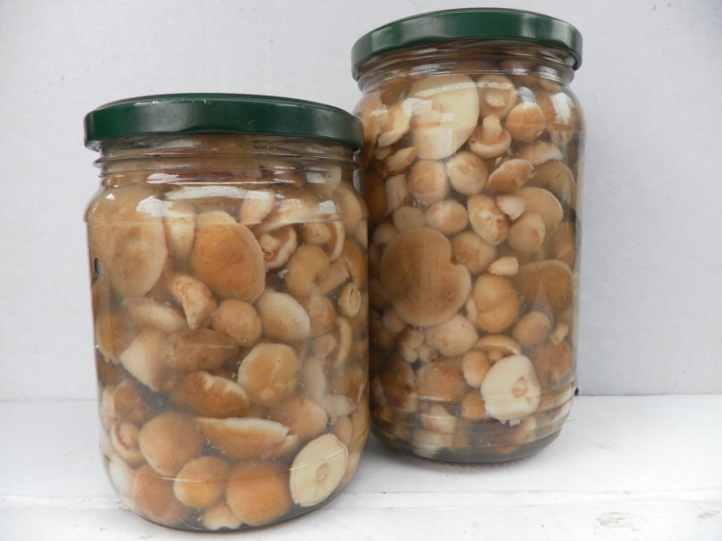 Ingelegde karnemelk