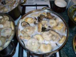 Gemarineerde roeiers