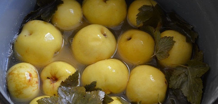 Recept voor natte appels
