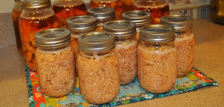 Recept voor ingeblikt vlees voor de winter