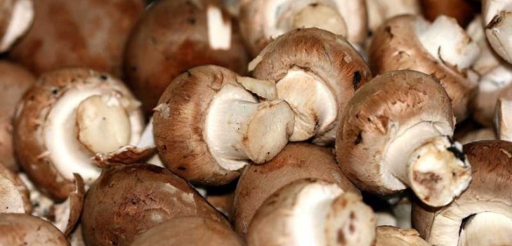 veel champignons