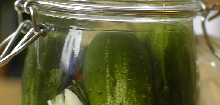 Lekkere komkommers met knoflook voor de winter