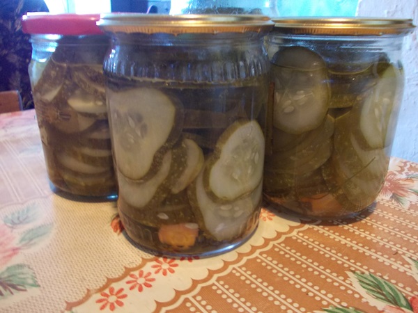 Lekkere komkommers met knoflook voor de winter