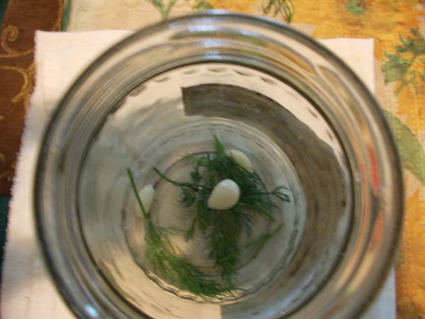 Lekkere komkommers met knoflook voor de winter