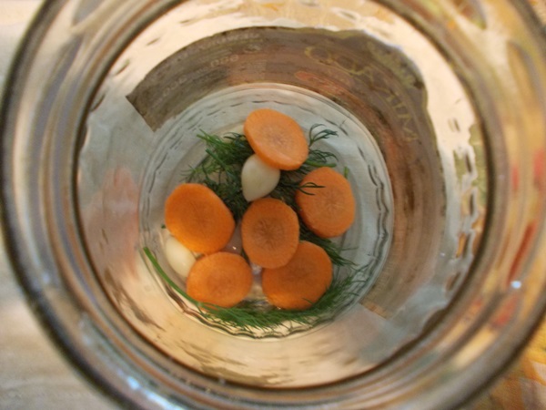 Lekkere komkommers met knoflook voor de winter