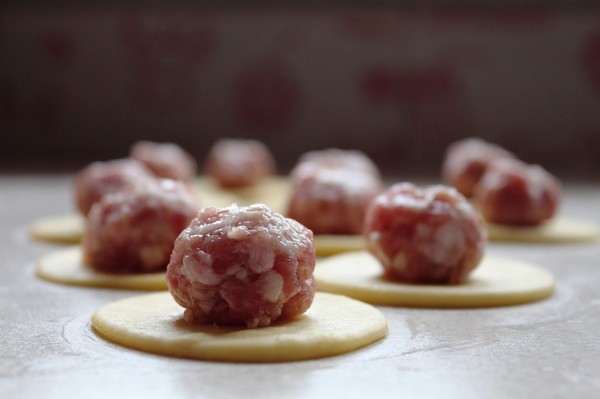 De beste recepten voor dumplings van kippenvlees