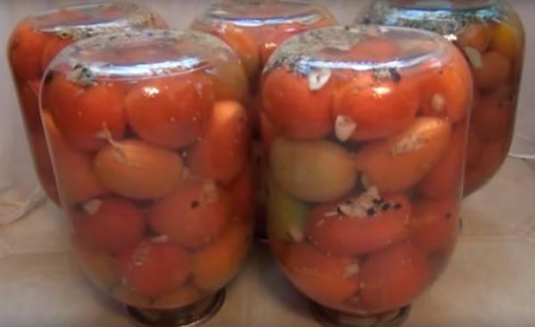 Tomaten met knoflook voor de winter, recepten. Tomaten oogsten met knoflook voor de winter: een recept voor snel koken, zonder sterilisatie, gezouten zonder te baden