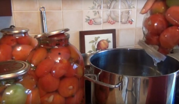 Tomaten met knoflook voor de winter, recepten. Tomaten oogsten met knoflook voor de winter: een recept voor snel koken, zonder sterilisatie, gezouten zonder te baden