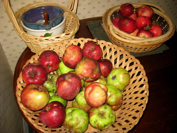 Thuis jam van appels koken