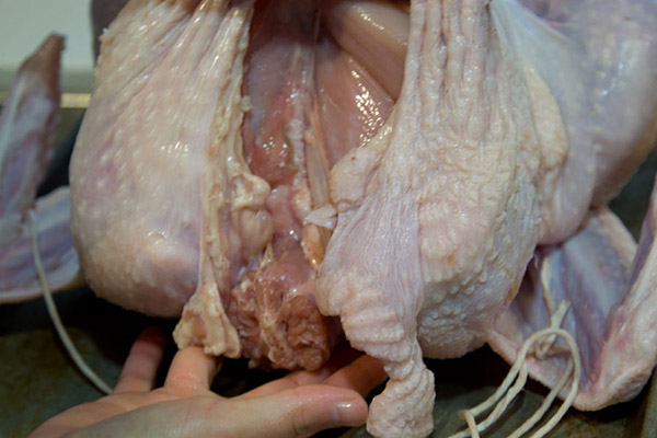 Het recept voor kalkoen voor het nieuwe jaar 2017 en kerst - in de oven, multivark, in een koekenpan, met zure roomsaus en groenten