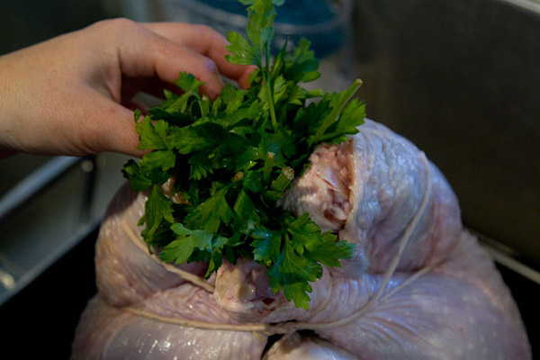 Het recept voor kalkoen voor het nieuwe jaar 2017 en kerst - in de oven, multivark, in een koekenpan, met zure roomsaus en groenten