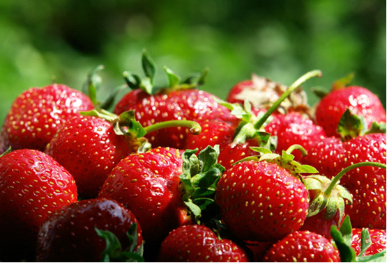 verse aardbeien
