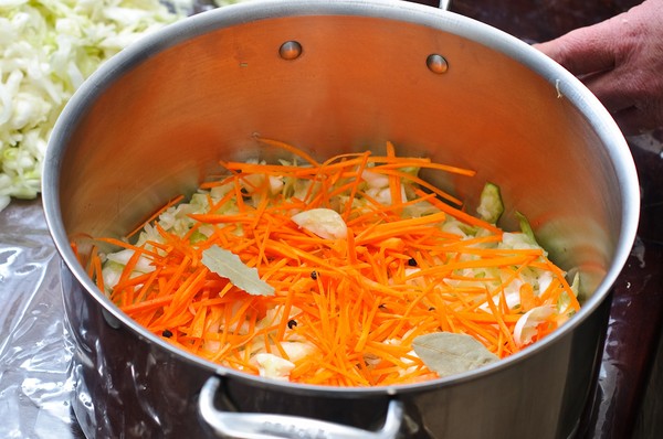Recepten uit kool voor de winter: smakelijke salades, knuppels zonder azijn, met aspirine, zonder sterilisatie