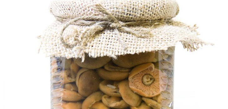 Rozhiki voor de winter - recepten voor invriezen, beitsen Rozhiki voor de winter - recepten voor invriezen, beitsen
