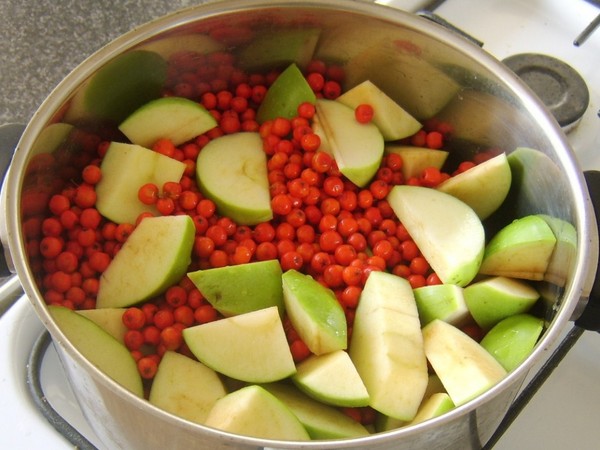 Rowan voor de winter: recepten voor knuppels van de gebruikelijke rode en zwarte appelbes