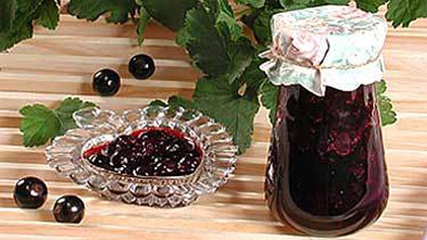 Bes met suiker voor de winter zonder te koken, Pyatiminutka, bevroren. Bes recept, geraspt met suiker voor de winter (zonder koelkast)