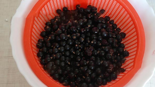 Bes met suiker voor de winter zonder te koken, Pyatiminutka, bevroren. Bes recept, geraspt met suiker voor de winter (zonder koelkast)