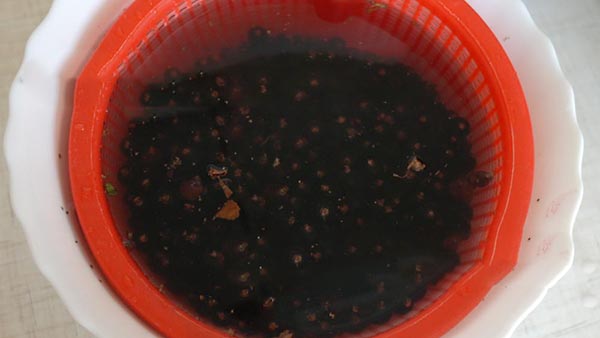 Bes met suiker voor de winter zonder te koken, Pyatiminutka, bevroren. Bes recept, geraspt met suiker voor de winter (zonder koelkast)