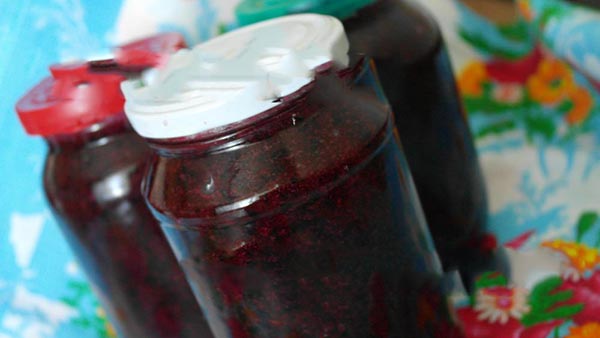 Bes met suiker voor de winter zonder te koken, Pyatiminutka, bevroren. Bes recept, geraspt met suiker voor de winter (zonder koelkast)