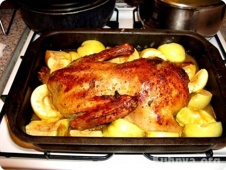 Eend in de oven: hoe lekker om te koken?