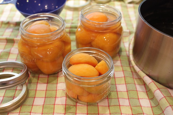 Abrikozenjam - koninklijk recept